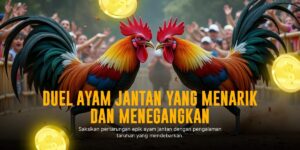 Mengenal Jenis-Jenis Ayam Aduan dan Odds di SV388