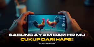Rahasia Sabung Ayam: Memahami Jenis Ayam Aduan dan Odds di SV388