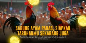 Uniknya Sabung Ayam SV388: Jenis Ayam, Odds, dan Cara Bermain