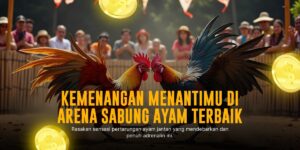 Strategi Menang Sabung Ayam SV388: Rahasia Odds dan Jenis Ayam Andal