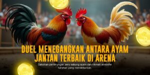 Mengupas Tuntas Sabung Ayam SV388: Jenis Ayam dan Odds Terbaik