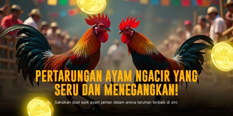 Asal-usul & Odds Sabung Ayam di Platform SV388