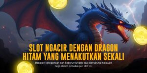 Menaklukkan Dunia Slot dengan Pragmatic Play: Fortune Dog