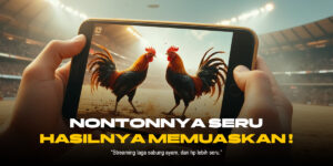 Mengenal Jenis Ayam Aduan dan Odds di SV388 Sabung Ayam Online