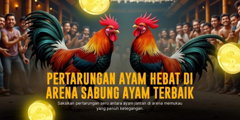 Mengenal Jenis Ayam Aduan SV388, Kunci Sabung Ayam Berhasil