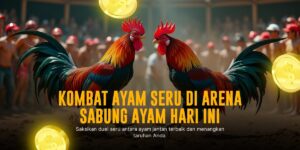 Odds dan Jenis Ayam Terpopuler di SV388 Sabung Ayam