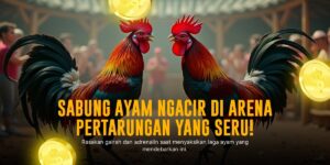 Mengenal Sabung Ayam S128: Adu Seru dan Peluang Menang