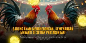 Mengupas Jagoan SABUNG AYAM SV388: Jenis, Odds, dan Keunggulannya