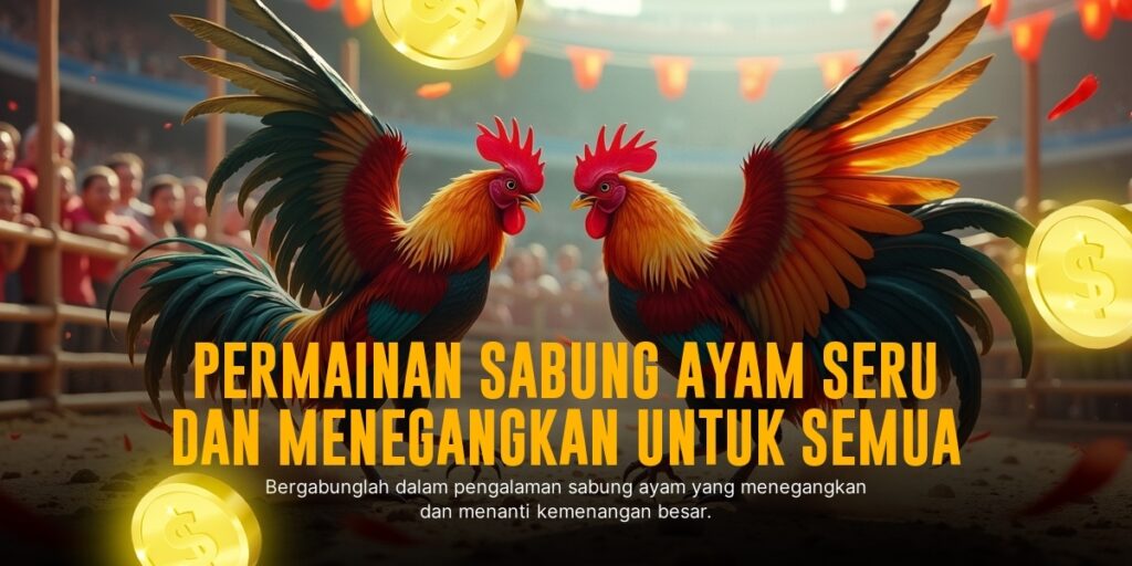Mengenal Jenis Ayam dan Odds di Sabung Ayam SV388