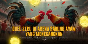 Mengenal Jenis Ayam Laga dalam Sabung Ayam SV388
