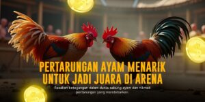 Mengupas Jenis Ayam Aduan di Sabung Ayam SV388 yang Menggairahkan